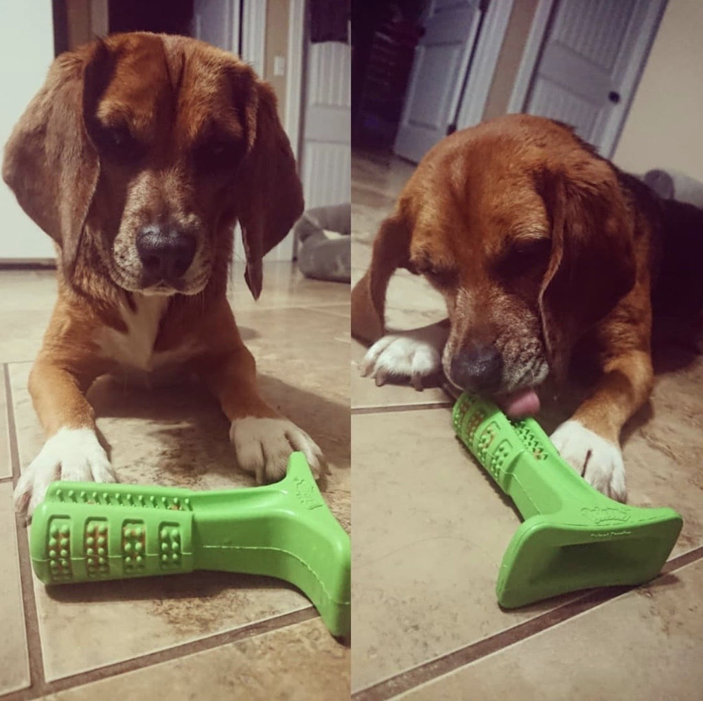 Smiling Puppy™ - Dog Toy Toothbrush