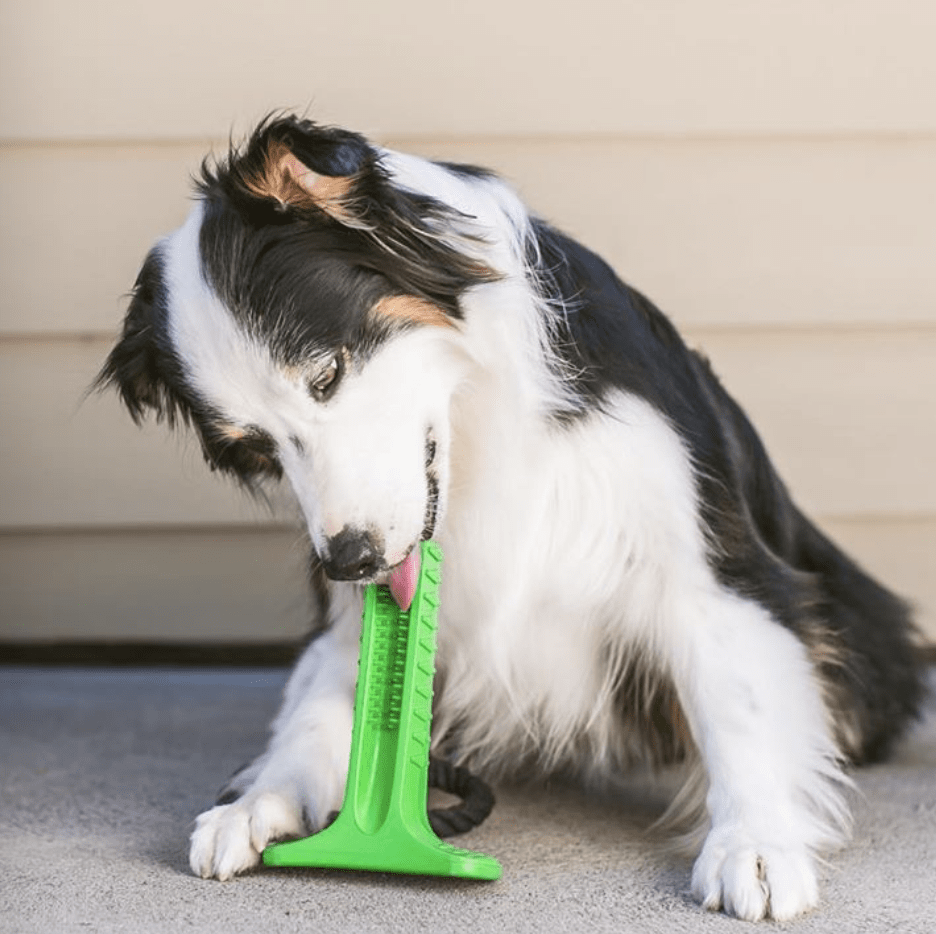 Smiling Puppy™ - Dog Toy Toothbrush