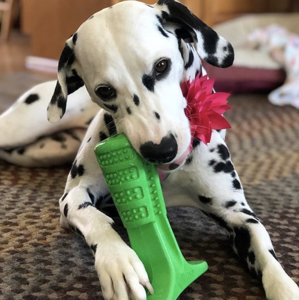 Smiling Puppy™ - Dog Toy Toothbrush