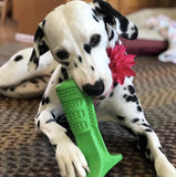 Smiling Puppy™ - Dog Toy Toothbrush