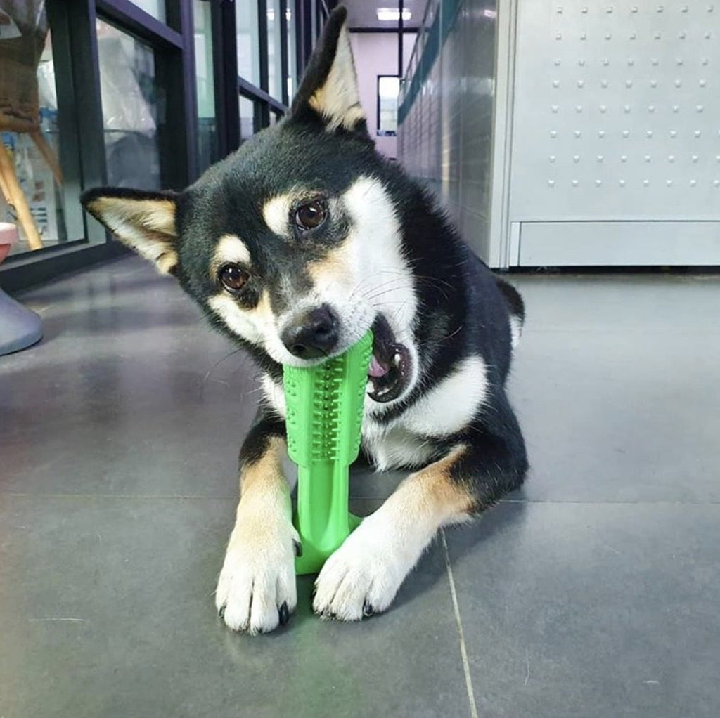 Smiling Puppy™ - Dog Toy Toothbrush