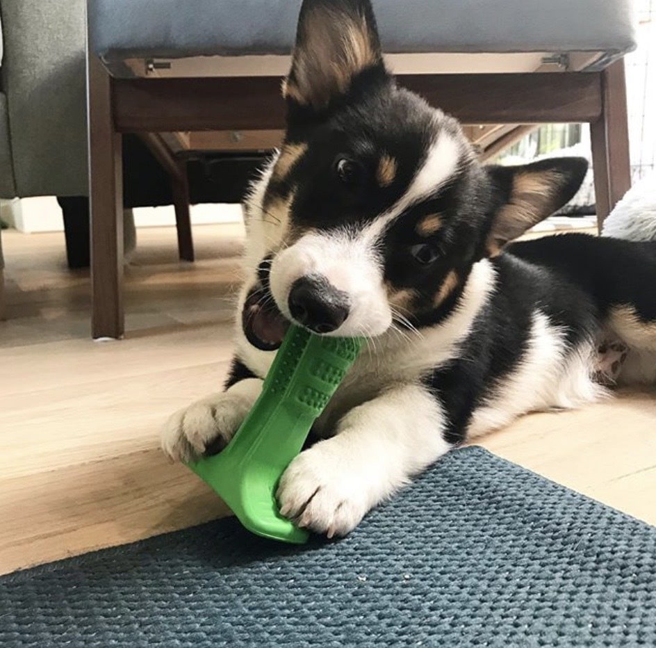 Smiling Puppy™ - Dog Toy Toothbrush